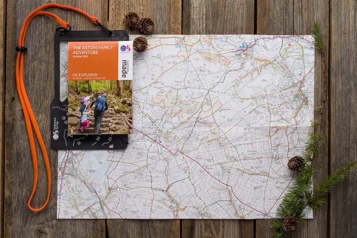 Custom Made Mini map opened