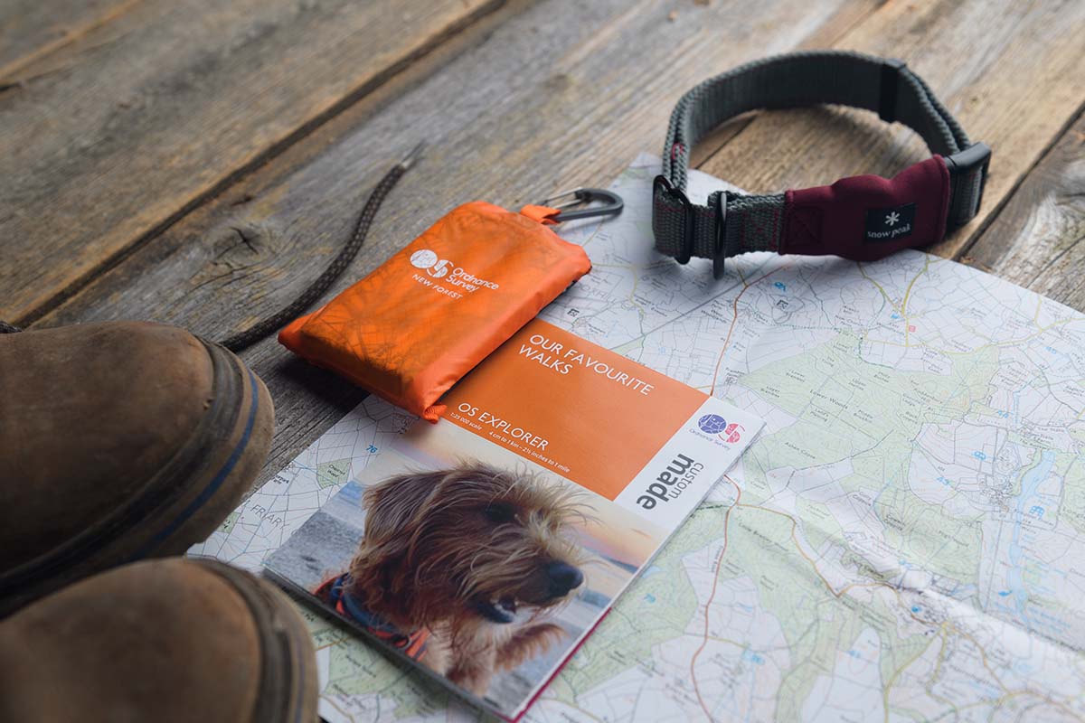 Custom Made Mini Dog Walkers Map