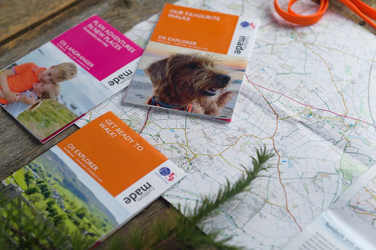 Custom Made Mini Map Collection