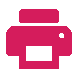 Printing icon
